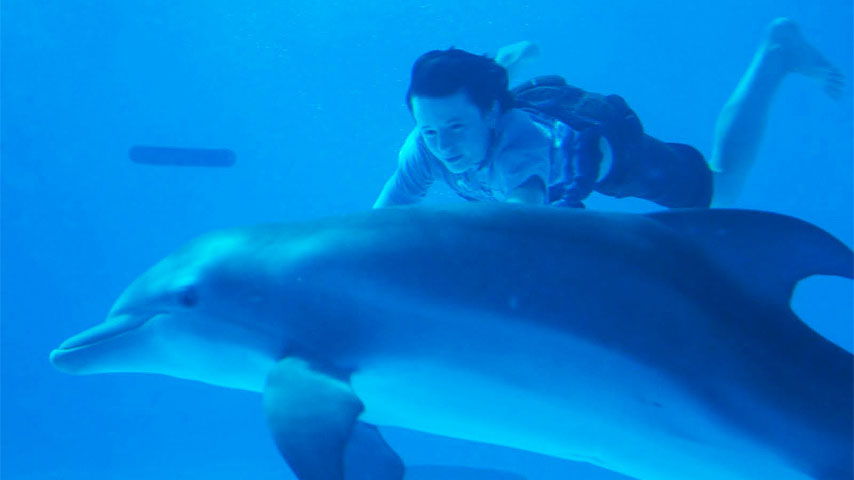 Dolphin Tale