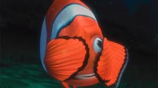 Finding Nemo