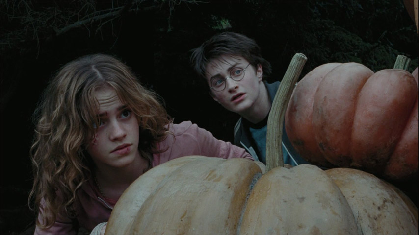 Harry Potter and the Prisoner of Azkaban