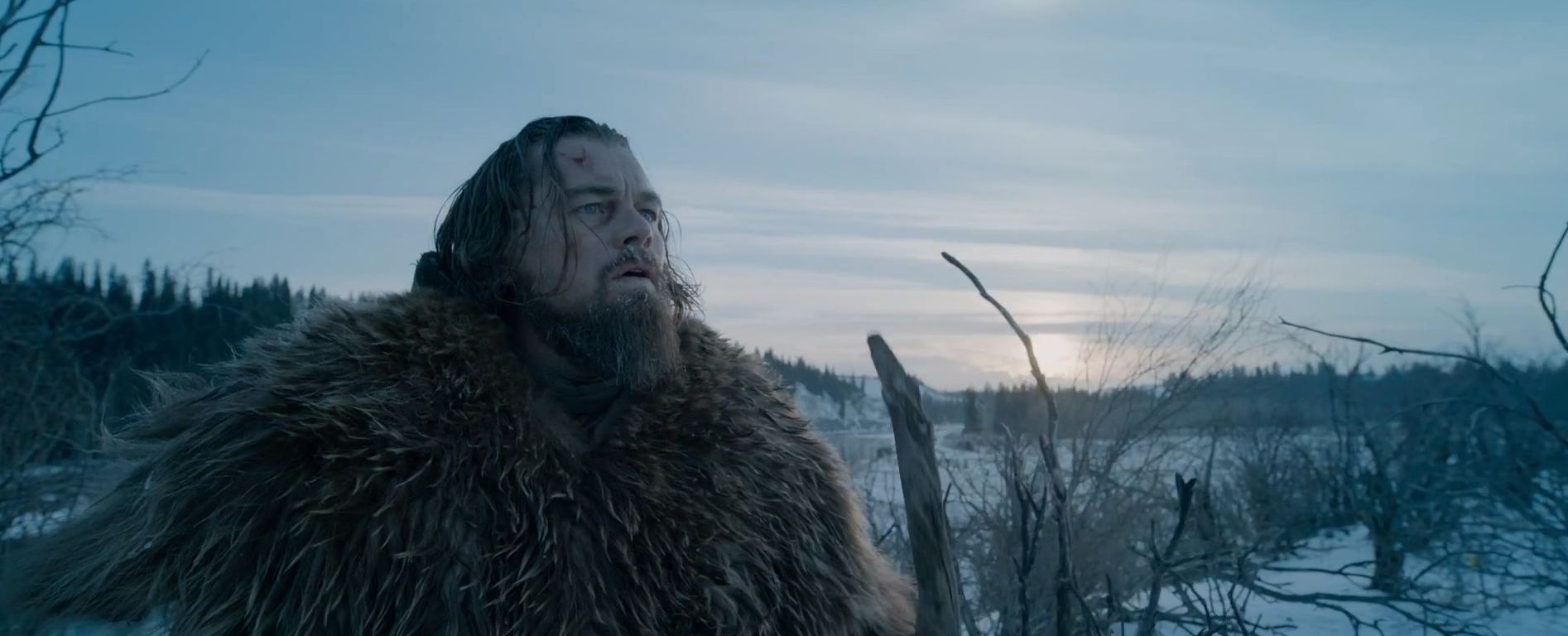 Leonardo DiCaprio in The Revenant