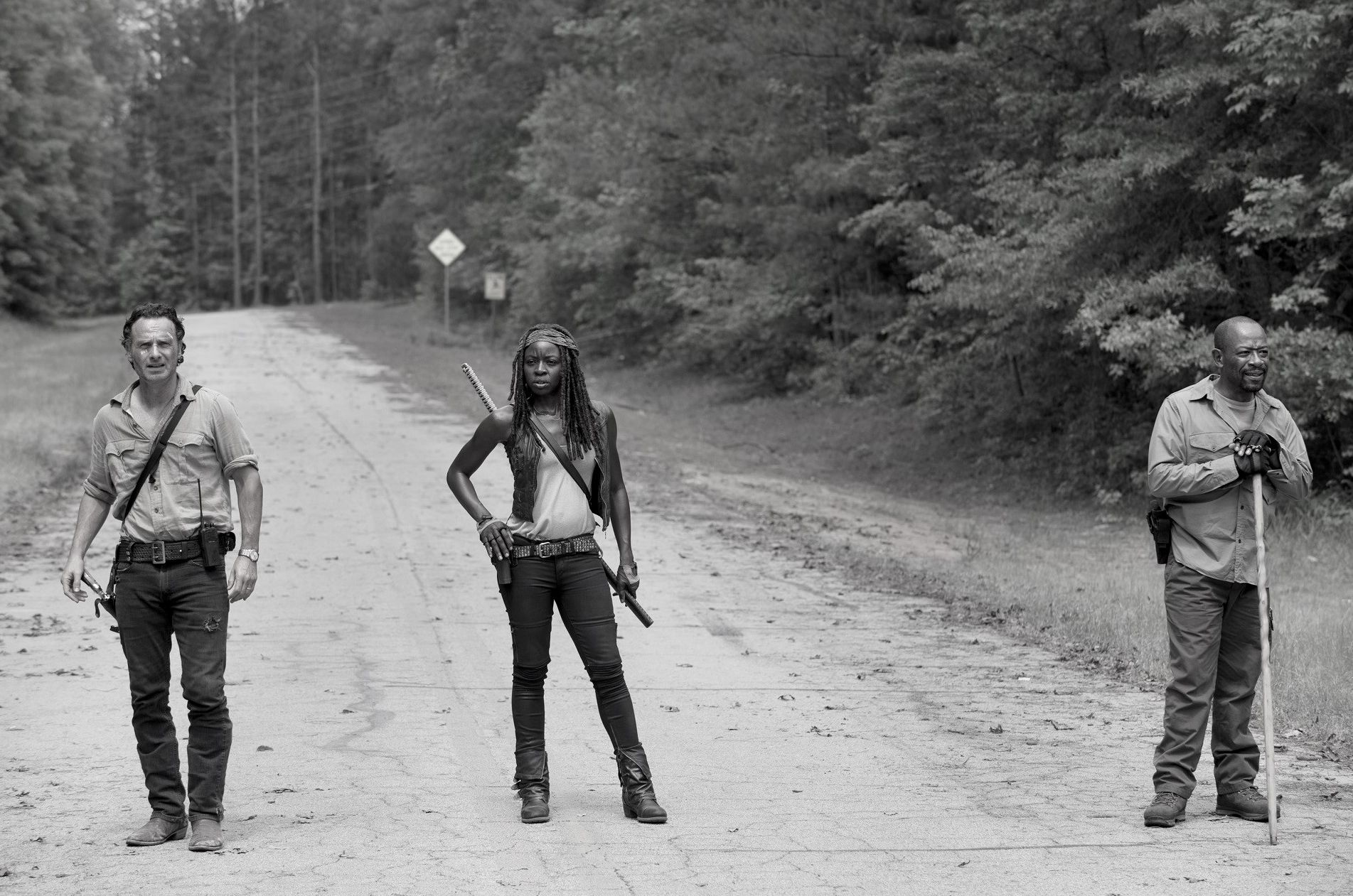 Andrew Lincoln, Danai Gurira and Lennie James in The Walking