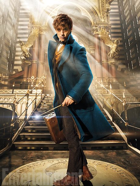 Eddie Redmayne as Newt Scamander