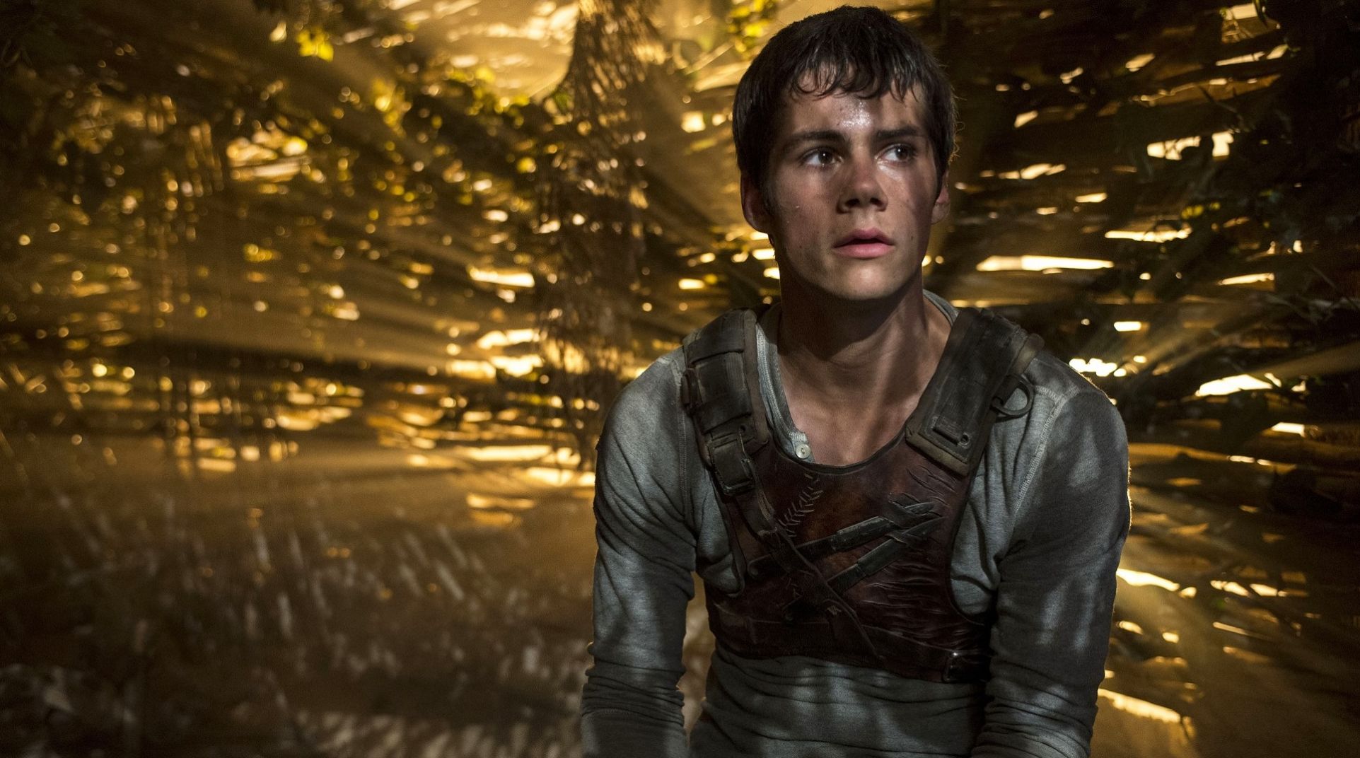 The Maze Runner - Dylan O&#039;Brien