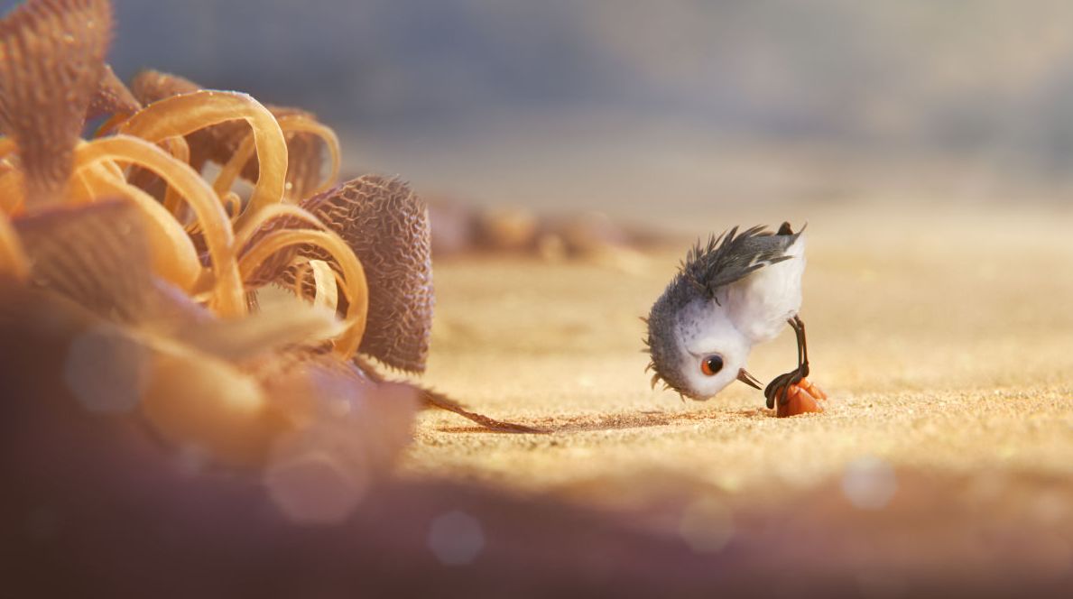 Screenshots from Pixar Short &#039;Piper&#039;