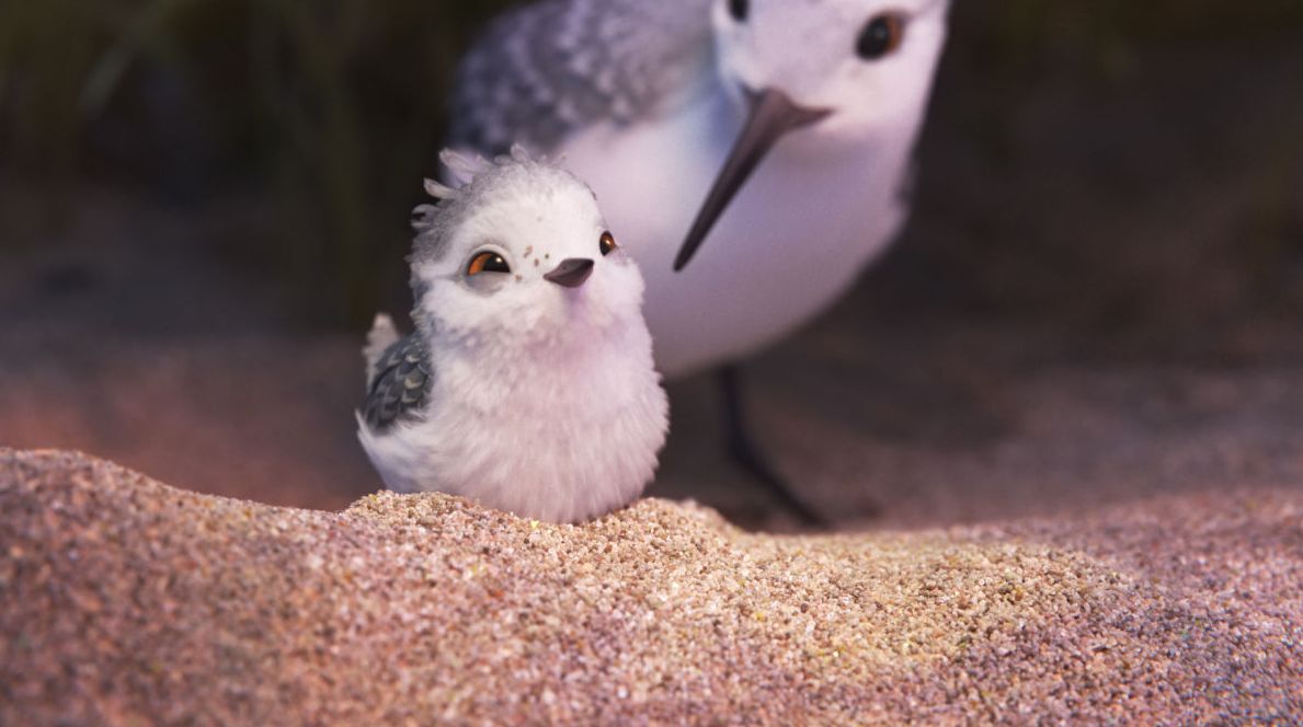 More screenshots from Pixar short &#039;Piper&#039;