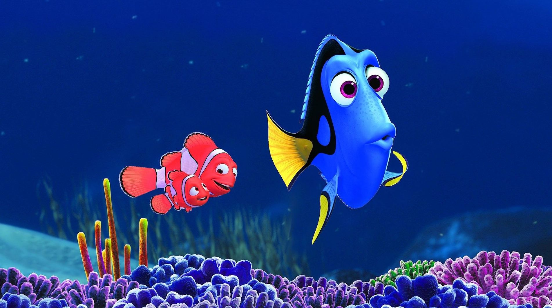 Dory and co.