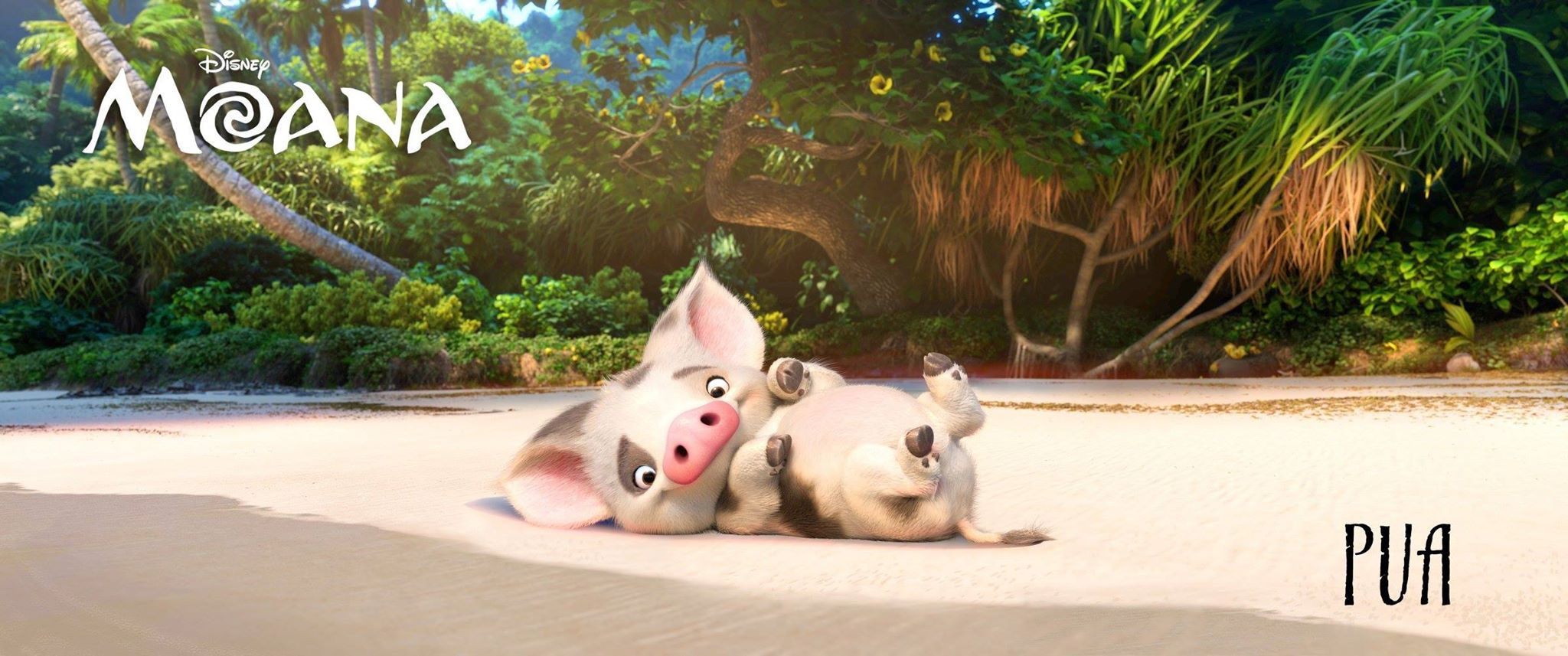 Pua: Moana&#039;s pet pig