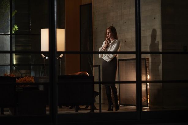 Amy Adams in 'Nocturnal Animals'