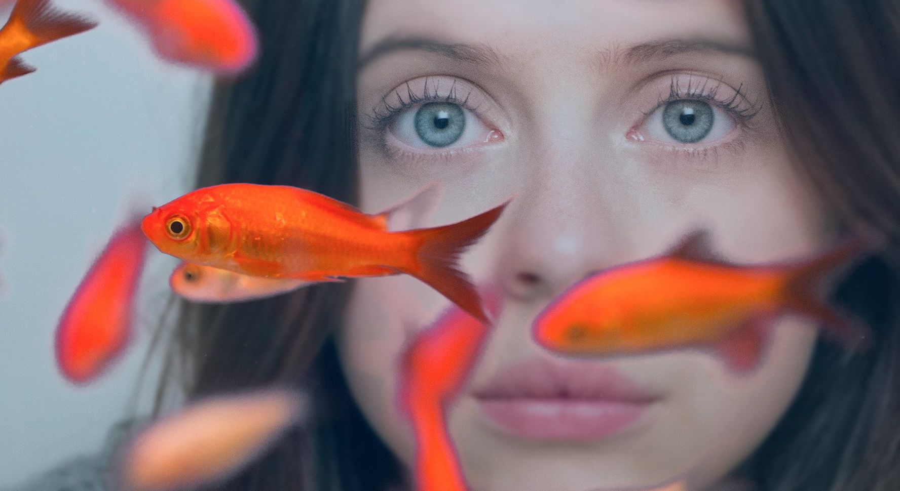 TIFF drama &#039;Carrie Pilby&#039;