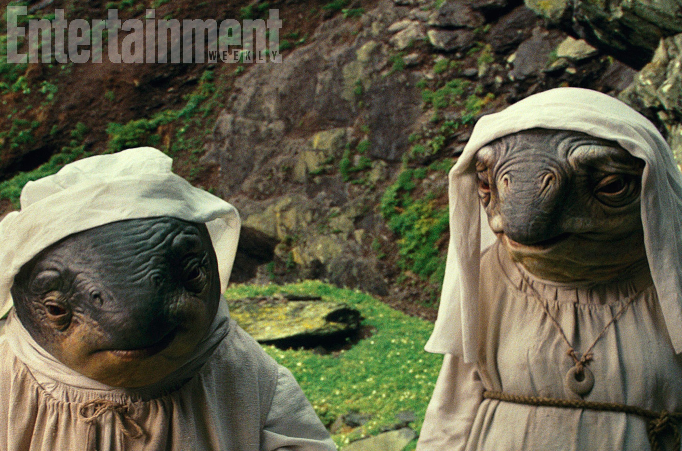 The Caretakers of Ahch-To
These amphibious creatures are wh