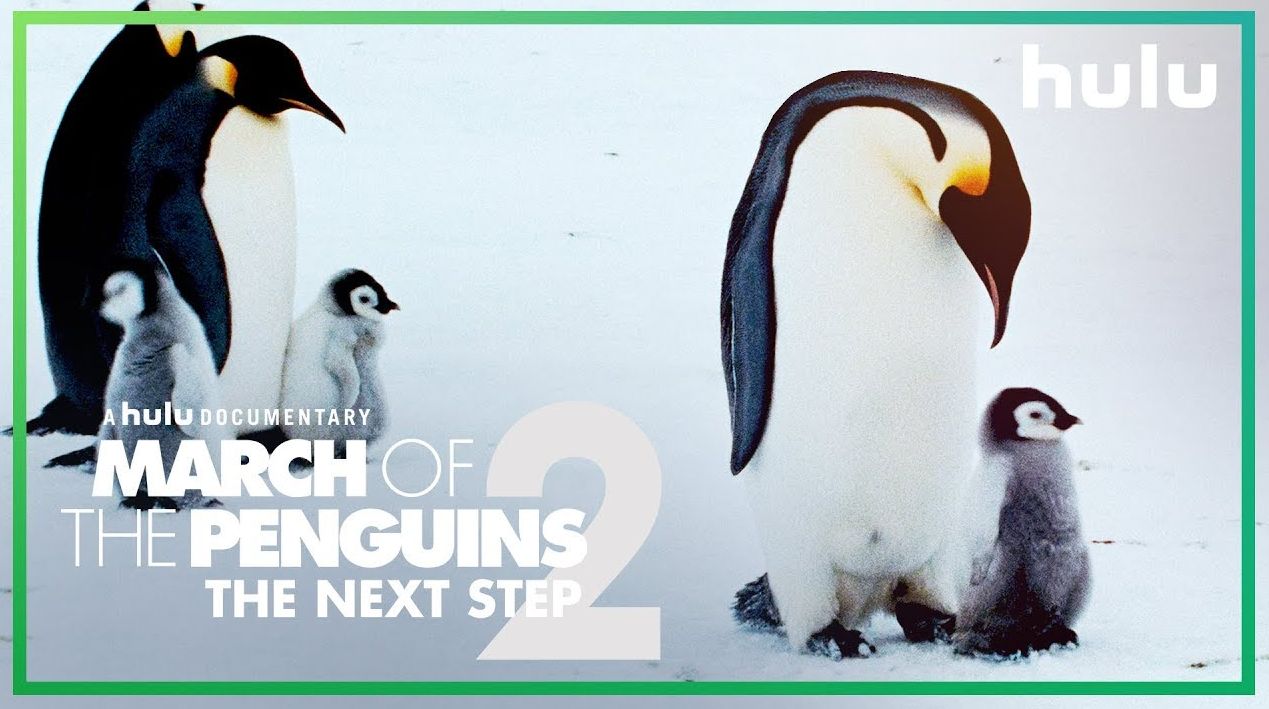 &#039;March of the Penguins 2&#039; debuts March 23rd on Hulu