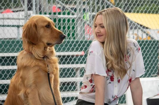 Enzo the Dog &amp; Amanda Seyfried