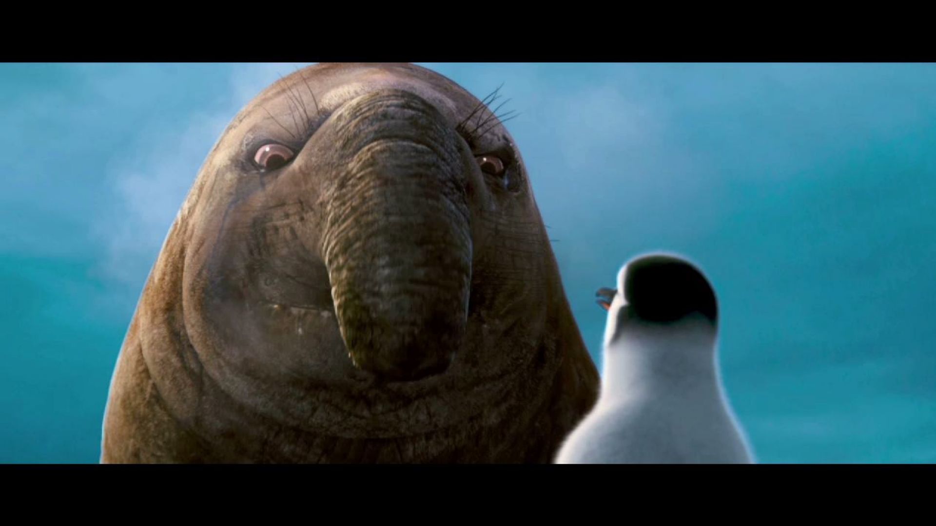 We&#039;re bringing fluffy back. Happy Feet 2