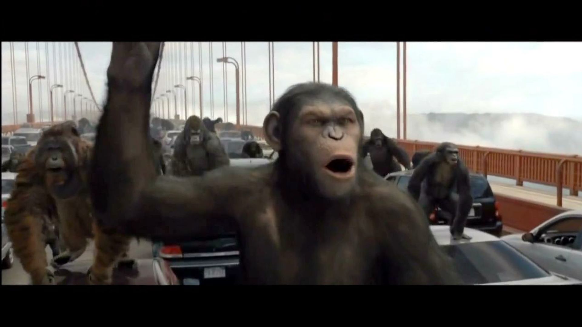 They rise. We fall. Rise of the Planet of the Apes