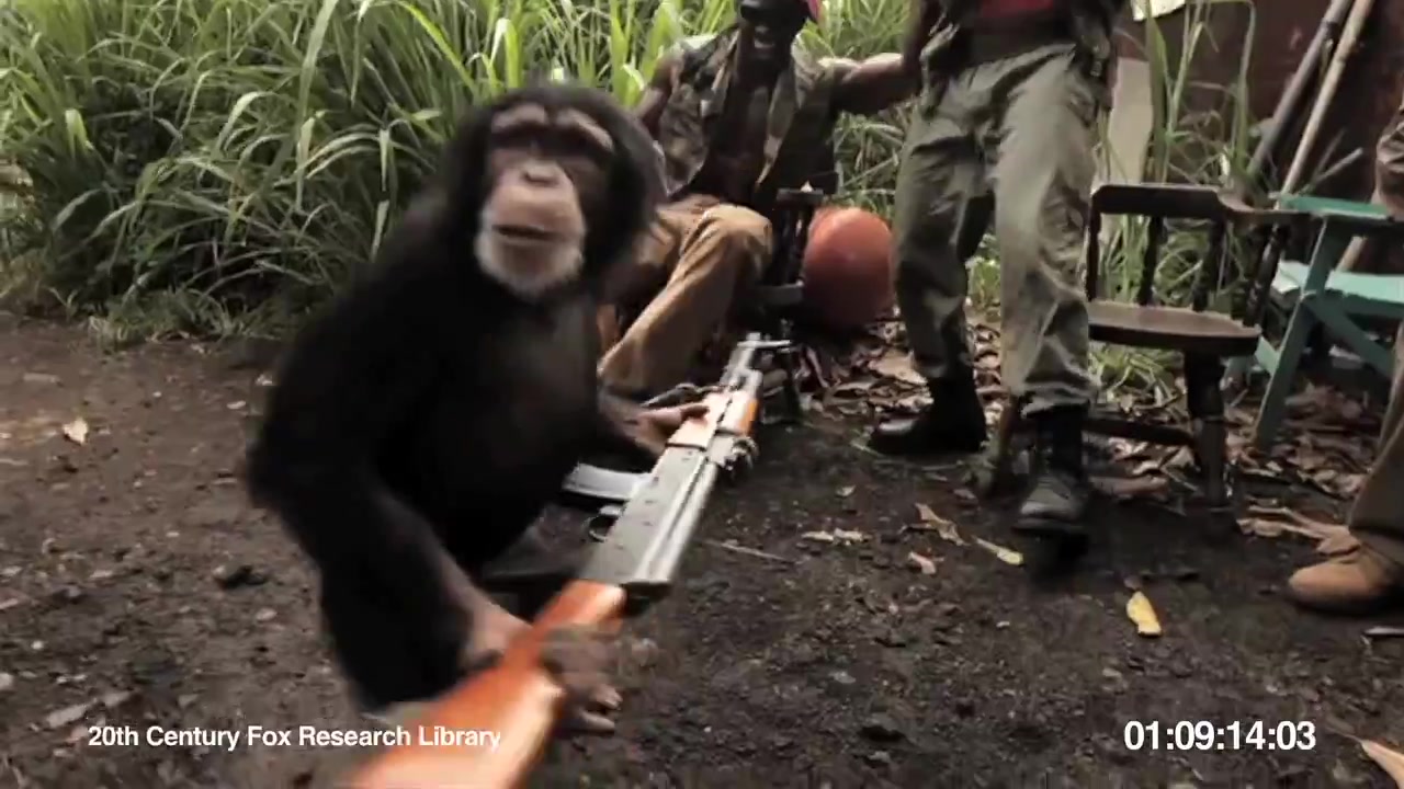 Giving a gun to a monkey