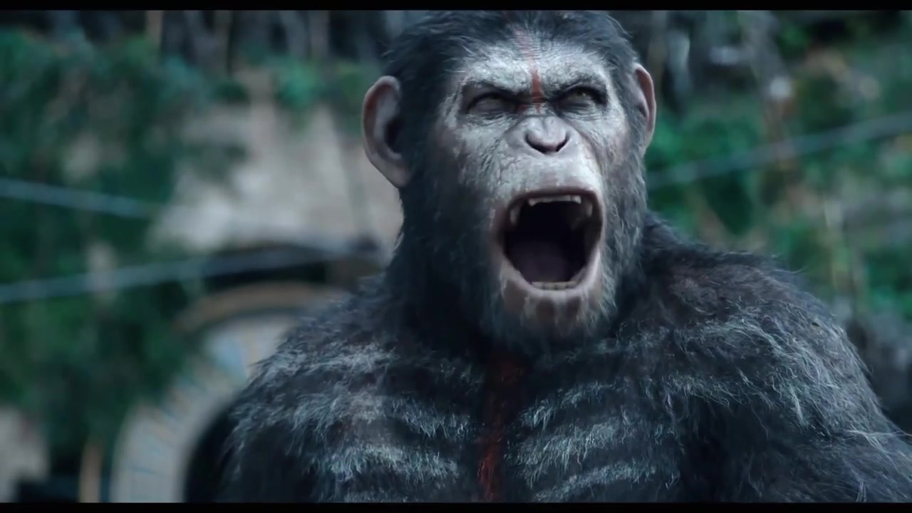 &#039;Dawn of the Planet of the Apes&#039; Movie Clip: &quot;Apes Do Not Wa