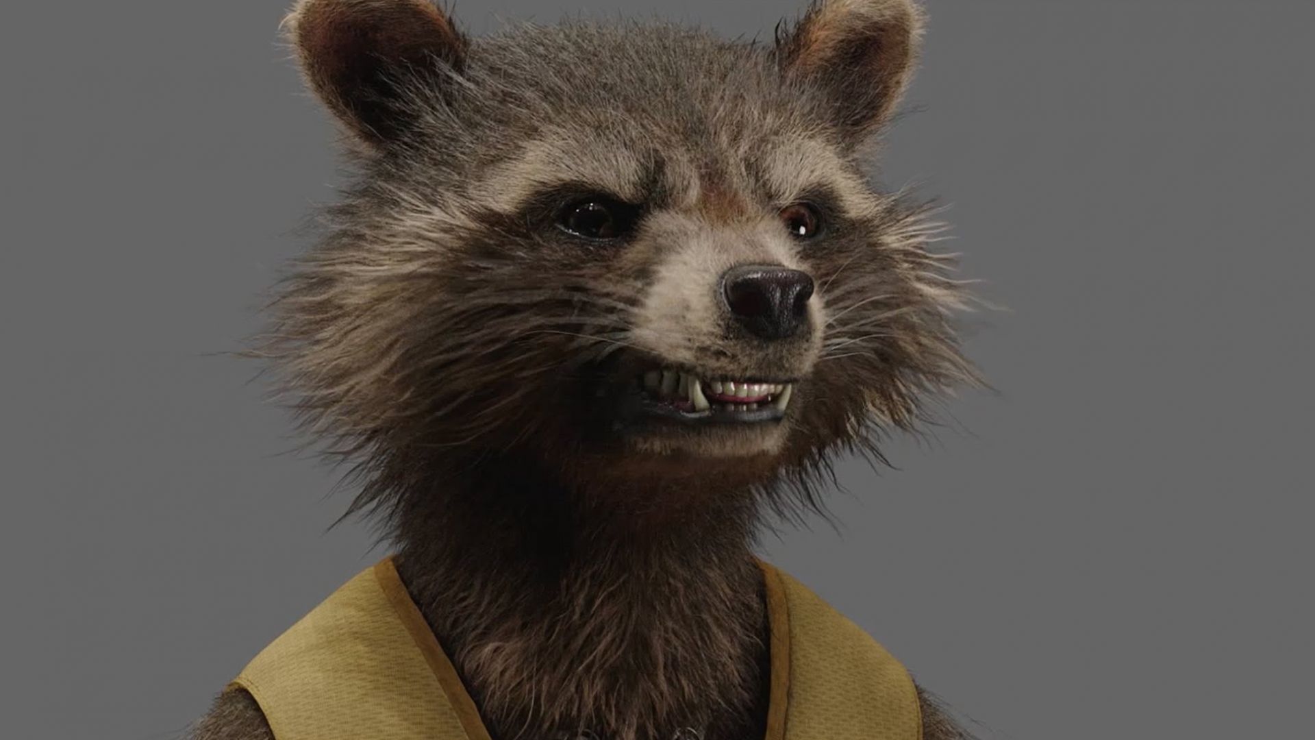 Bringing the Guardians of the Galaxy’s Angriest Raccoon to