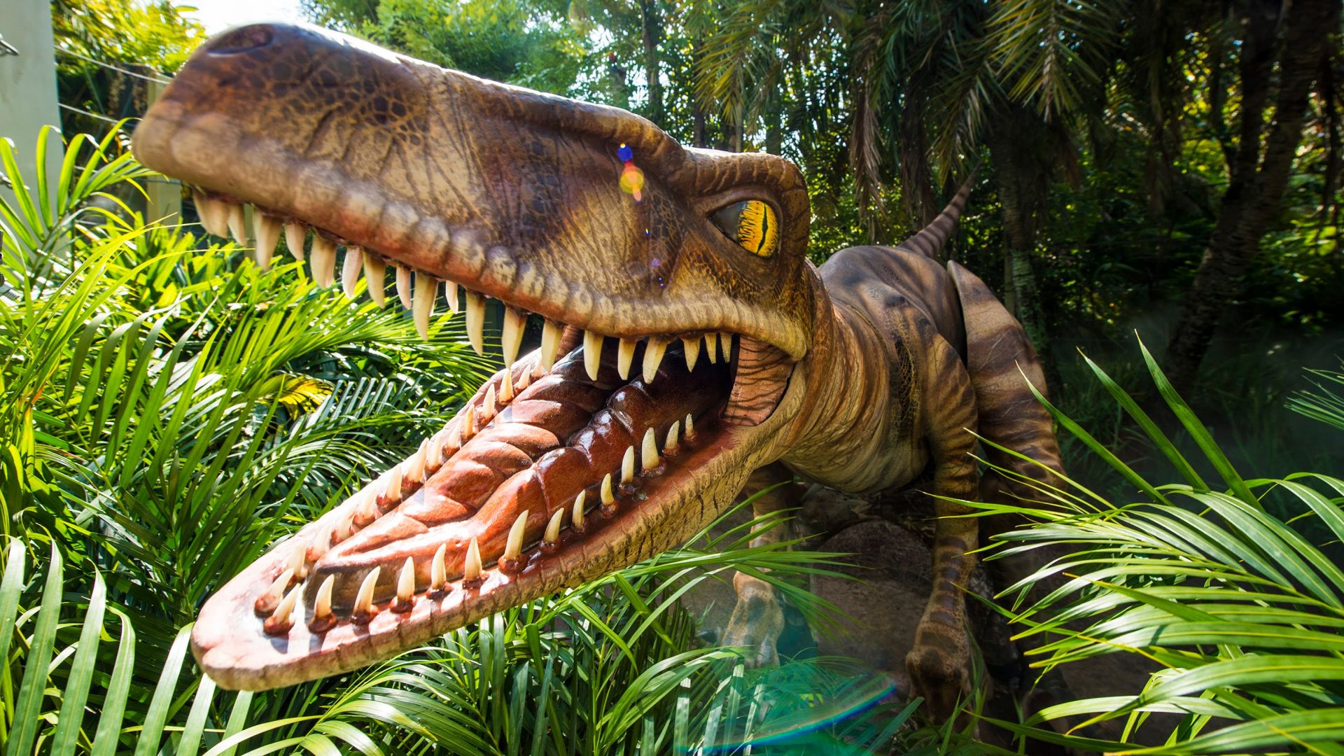 Get up close with a Velociraptor at Universal Orlando Resort