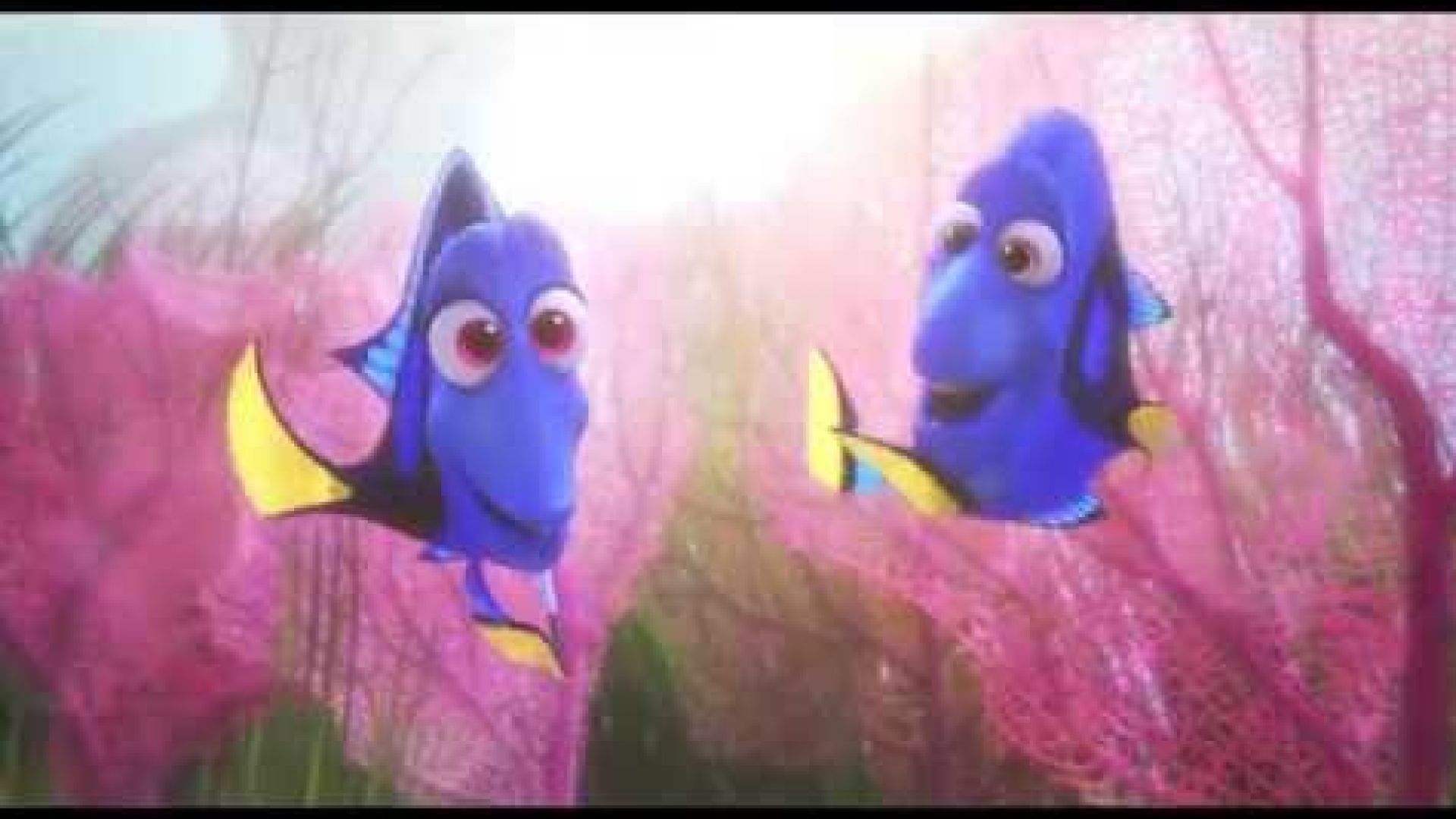 Introducing baby Dory in the adorable new clip for &#039;Finding 