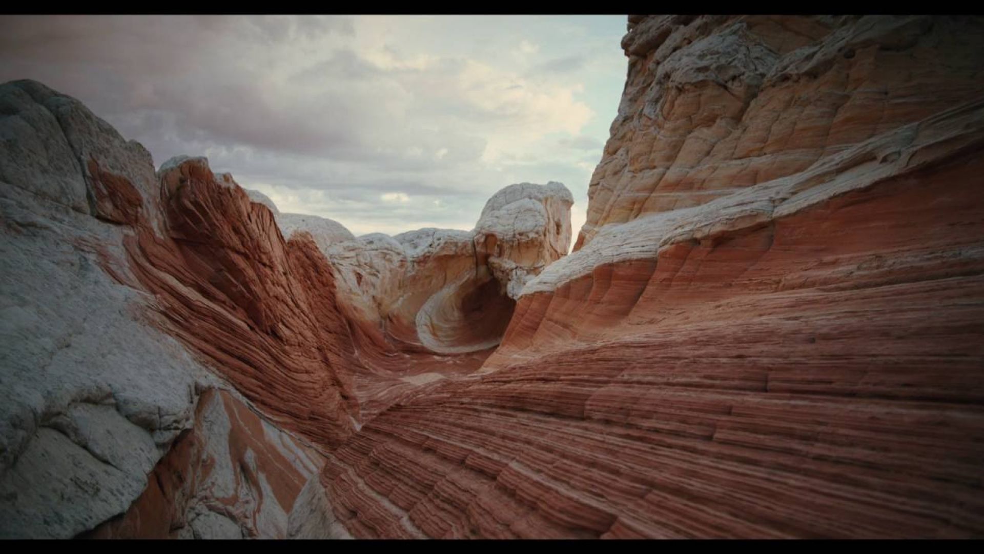 Stunning imageries in Terrence Malick's 'Voyage of Time' Tra