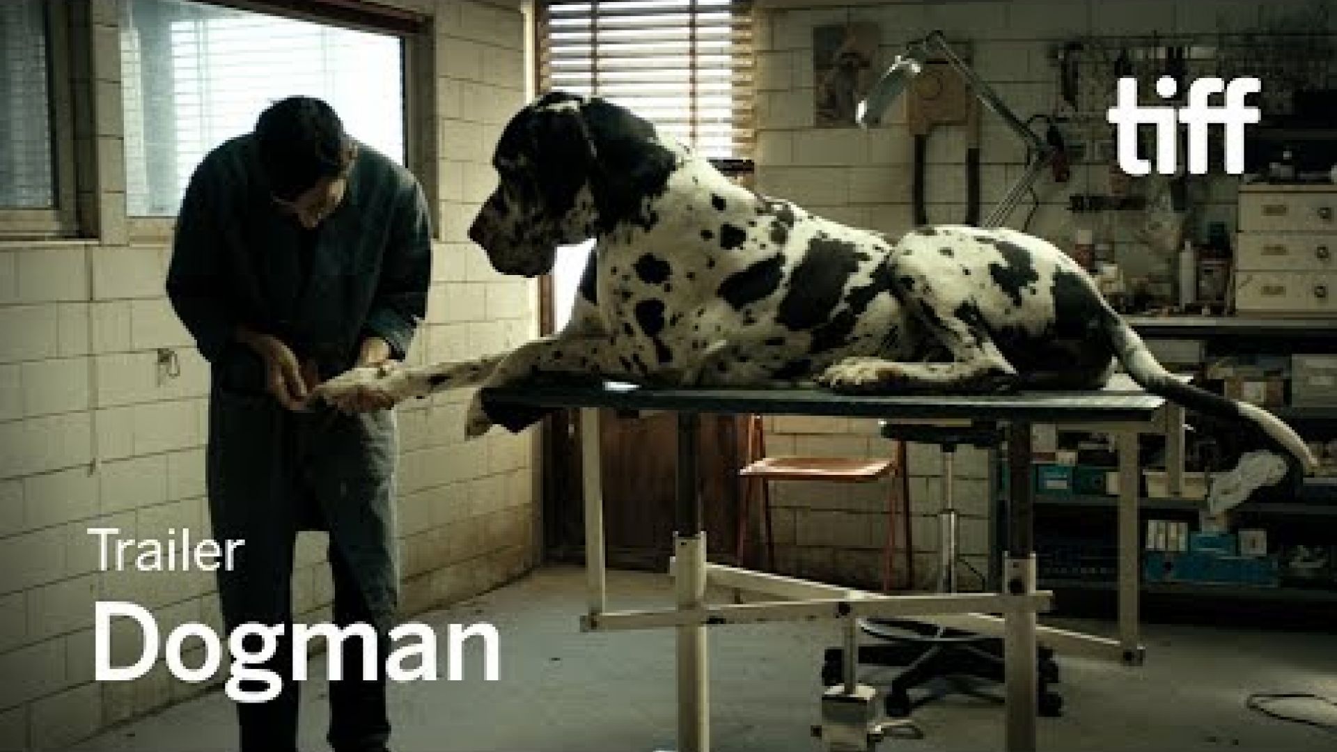 &#039;Dogman&#039; Trailer
